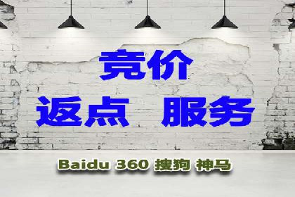 XX行业竞价广告的投放策略与效果分析